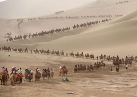 گردشگران سوار بر شتر در صحرای چین