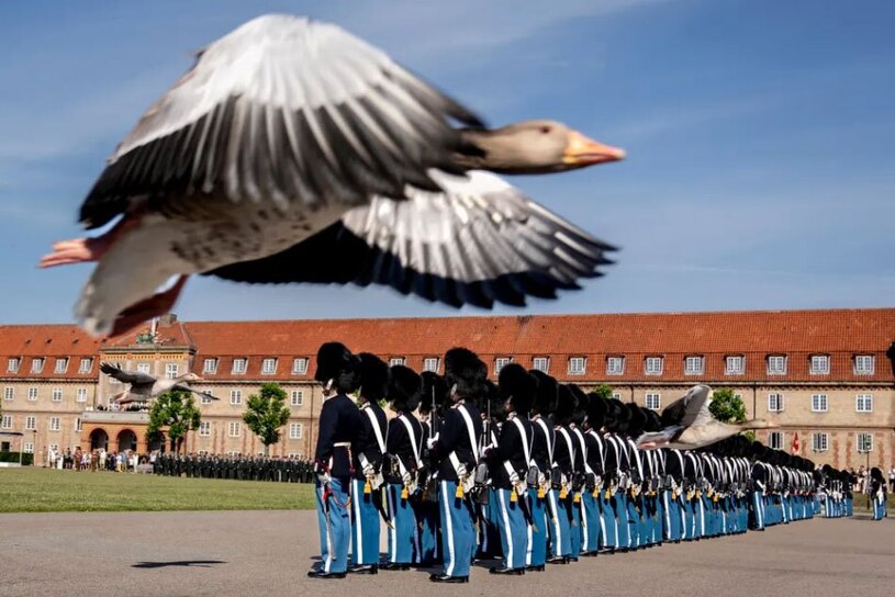 مراسم رژه سالانه گارد سلطنتی دانمارک