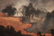 آتش سوزی گسترده جنگلی در یک پارک ملی