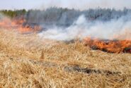 اختلاف زن و شوهر بوکانی هفت هکتار مزرعه گندم را به آتش کشاند