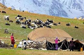 روستاها، قلب تپنده اقتصاد و فرهنگ ایران | توسعه روستایی، کلید کاهش مهاجرت و حاشیهنشینی