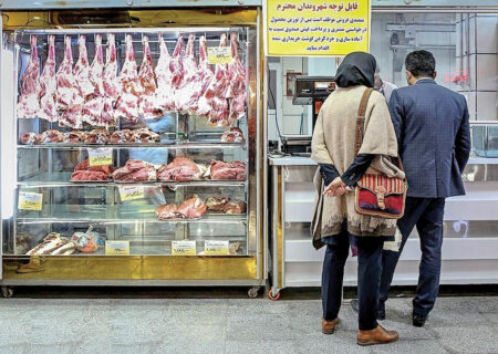 حذف ارز ترجیحی نهاده‌های دامی؛ بحران جدید در بازار پروتئین‌ها و نگرانی کارشناسان از افزایش شدید قیمت گوشت و مرغ