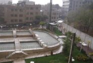 وقتی فضای سبز، قربانی نگاه عمرانی می‌شود